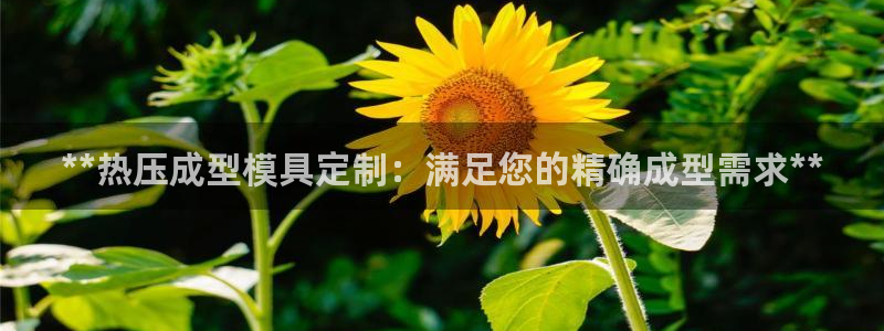 易倍申价格是多少：**热压成型模具定制：满足您的精确成型