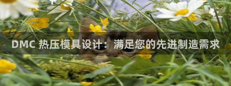 易倍申片的副作用：DMC 热压模具设计：满足您的先进制造
