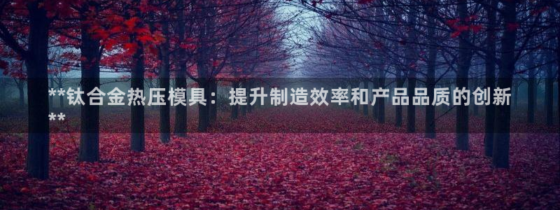 易倍纤代餐粉能减肥吗：**钛合金热压模具：提升制造效率和